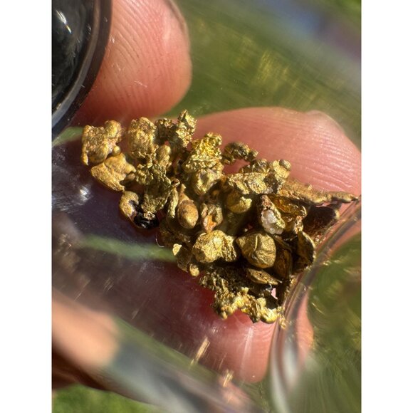 Gold Nuggets in Jar - California Placer Gold - 1.36 grams - Picture 5 of 7